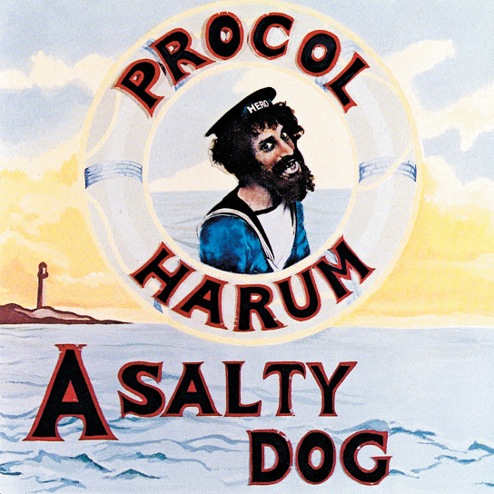A Salty Dog